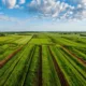 Оформление границ участка какие документы проверить перед покупкой